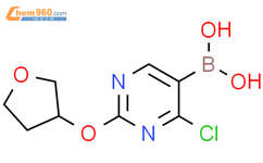 4-氯-2-(四氢呋喃-3-丙氧基)嘧啶-5-硼酸结构式图片|2225152-62-3结构式图片