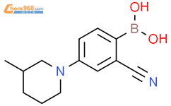 2-氰基-4-(3-甲基哌啶-1-基)苯硼酸