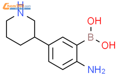 2-氨基-5-(哌啶-3-基)苯硼酸结构式图片|2225153-32-0结构式图片