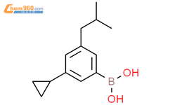 3-(环丙基)-5-(异丁基)苯硼酸结构式图片|2225169-44-6结构式图片