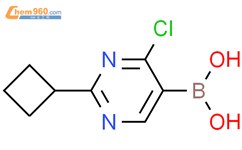 4-氯-2-(环丁基)嘧啶-5-硼酸结构式图片|2225169-57-1结构式图片