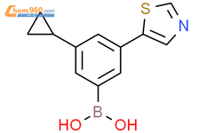 3-环丙基-5-(噻唑-5-基)苯硼酸结构式图片|2225171-65-1结构式图片