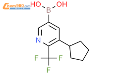 5-环戊基-6-三氟甲基吡啶-3-硼酸