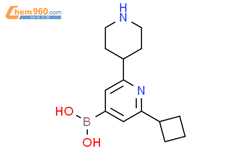 2-环丁基-6-(哌啶-4-基)吡啶-4-硼酸结构式图片|2225172-05-2结构式图片