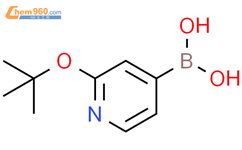 2-(叔丁基)吡啶-4-硼酸结构式图片|2225172-06-3结构式图片