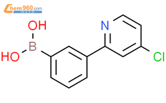 3-(4-氯吡啶-2-基)苯硼酸
