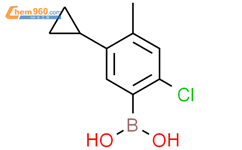 2-氯-4-甲基-5-环丙基苯基硼酸