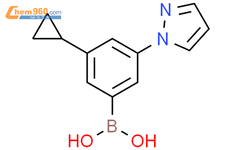 3-环丙基-5-(1H-吡唑醇-1-基)苯硼酸结构式图片|2225173-20-4结构式图片