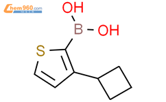 3-(环丁基)噻吩-2-硼酸结构式图片|2225173-48-6结构式图片