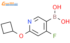 4-氟-2-(环丁氧基)吡啶-5-硼酸结构式图片|2225174-65-0结构式图片