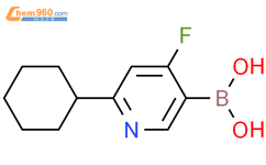 4-氟-2-(环己基)吡啶-5-硼酸结构式图片|2225175-38-0结构式图片