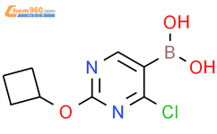 4-氯-2-(环丁氧基)嘧啶-5-硼酸