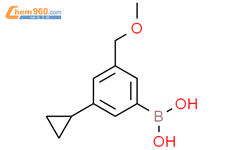 3-环丙基-5-(甲氧基甲基)苯硼酸结构式图片|2225175-68-6结构式图片