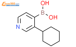 3-(环己基)吡啶-4-硼酸结构式图片|2225175-85-7结构式图片