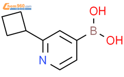 (2-环丁基吡啶-4-基)硼酸结构式图片|2225176-13-4结构式图片