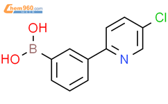 3-(5-氯吡啶-2-基)苯硼酸