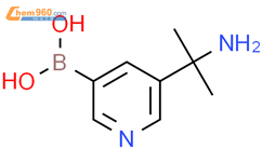 (5-(2-氨基丙烷-2-基)吡啶-3-基)硼酸