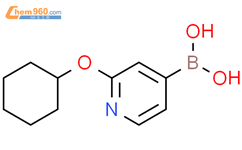 2-(环己基氧基)吡啶-4-硼酸结构式图片|2225177-63-7结构式图片