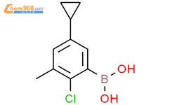 2-氯-3-甲基-5-环丙基苯基硼酸结构式图片|2225178-56-1结构式图片