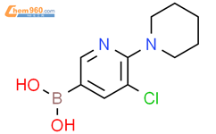 5-氯-6-(哌啶)吡啶-3-硼酸