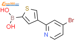 4-(4-溴吡啶-2-基)噻吩-2-硼酸