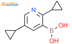 2,5-二环丙基吡啶-3-硼酸结构式图片|2225179-89-3结构式图片
