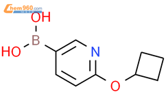 2-(环丁基)吡啶-5-硼酸结构式图片|2225181-11-1结构式图片