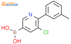 5-氯-6-(3-甲苯基)吡啶-3-硼酸结构式图片|2225181-53-1结构式图片