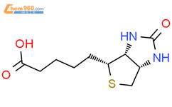 5-(3aS,4S,6aR)-2-oxo-hexahydro-1H-thieno3,4-dimidazol-4-ylpentanoic acid结构式图片|22377-59-9结构式图片