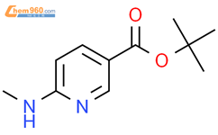 6-Methylamino-nicotinic acid tert-butyl ester结构式图片|2248284-52-6结构式图片
