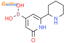 (2-羟基-6-(哌啶-2-基)吡啶-4-基)硼酸结构式图片|2256708-73-1结构式图片