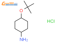 trans-4-tert-Butoxy-cyclohexylamine hydrochloride结构式图片|2287283-85-4结构式图片