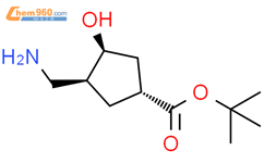 Cyclopentanecarboxylic acid, 3-(aminomethyl)-4-hydroxy-, 1,1-dimethylethyl ester, (1R,3S,4S)-结构式图片|2306249-18-1结构式图片