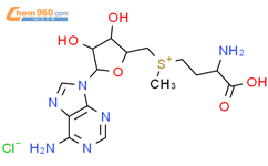 S-腺苷-L-蛋氨酸氯结构式图片|24346-00-7结构式图片