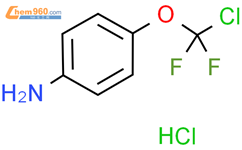 4-​(氯二氟甲氧基)苯胺 盐酸盐结构式图片|2554538-99-5结构式图片