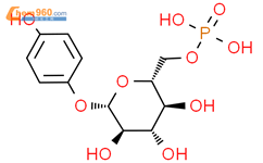 β-D-吡喃葡萄糖苷 4-羟基苯基 6-(二氢磷酸盐)结构式图片|255885-43-9结构式图片