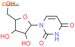 L-尿苷结构式图片|26287-69-4结构式图片