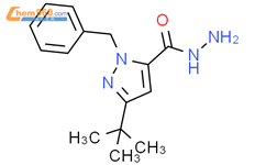 1-苄基-3-(叔丁基)-1H-吡唑-5-碳酰肼结构式图片|263385-00-8结构式图片