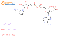 β-烟碱腺嘌呤二核苷磷酸盐四钠盐结构式图片|2646-71-1结构式图片