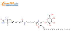 N-六酰基-生物素-半乳糖神经酰胺结构式图片|2692623-23-5结构式图片