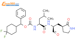 SARS-CoV-2-IN-10