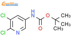 Tert Butyl N Dichloropyridin Yl Carbamate