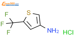 5-三氟甲基噻吩-3-基胺 盐酸盐结构式图片|2760889-66-3结构式图片