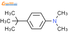 4-叔丁基-N,N-二甲基苯胺结构式图片|2909-79-7结构式图片