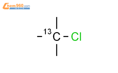 2-氯-2-甲基丙烷2-13C结构式图片|32488-42-9结构式图片