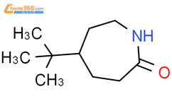 4-叔丁基己内酰胺结构式图片|32741-89-2结构式图片