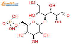 Maltose-6′-phosphate结构式图片|33094-43-8结构式图片