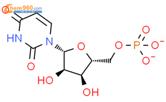 5'-尿苷酸二钠结构式图片|3387-36-8结构式图片