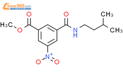 N-(3-Methyl-butyl)-5-nitro-isophthalamic acid methyl ester