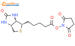 (+)-生物素-N-羟基琥珀酰亚胺酯结构式图片|35013-72-0结构式图片